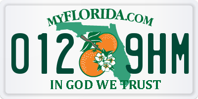 FL license plate 0129HM