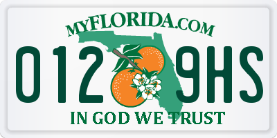FL license plate 0129HS