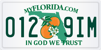 FL license plate 0129IM