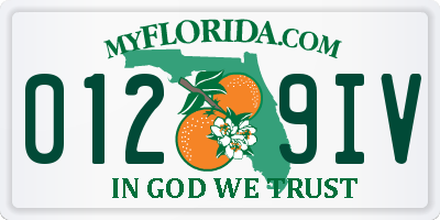 FL license plate 0129IV