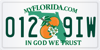 FL license plate 0129IW