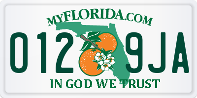 FL license plate 0129JA