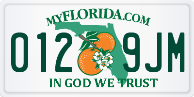 FL license plate 0129JM