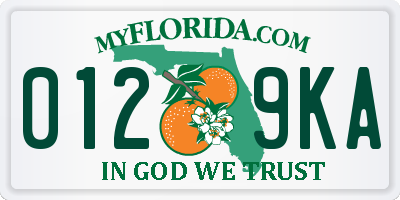 FL license plate 0129KA