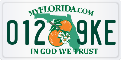 FL license plate 0129KE
