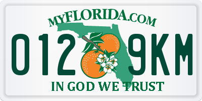 FL license plate 0129KM