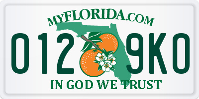 FL license plate 0129KO
