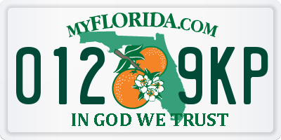 FL license plate 0129KP