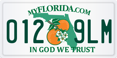 FL license plate 0129LM