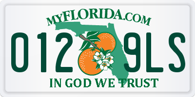 FL license plate 0129LS