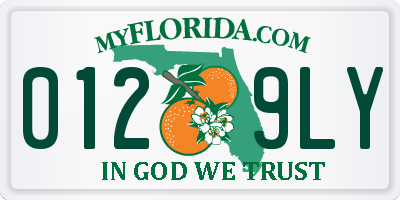 FL license plate 0129LY