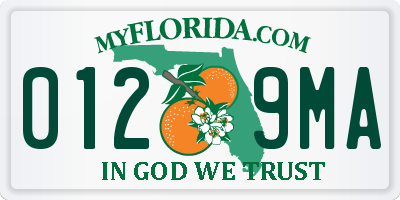 FL license plate 0129MA