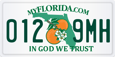 FL license plate 0129MH