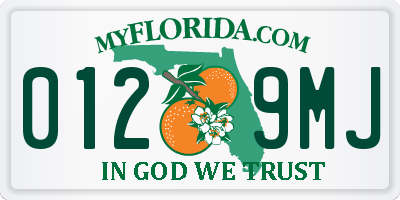 FL license plate 0129MJ
