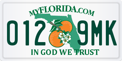 FL license plate 0129MK