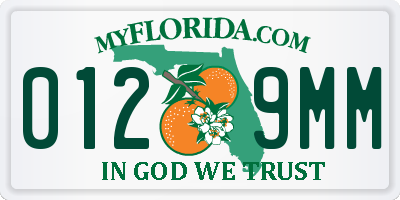 FL license plate 0129MM