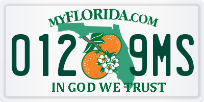 FL license plate 0129MS