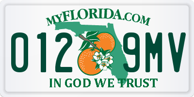 FL license plate 0129MV