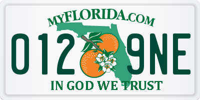 FL license plate 0129NE