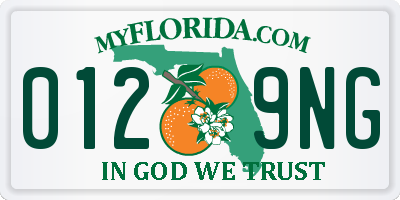 FL license plate 0129NG