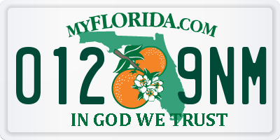 FL license plate 0129NM
