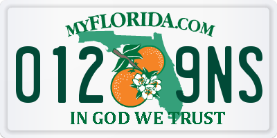 FL license plate 0129NS