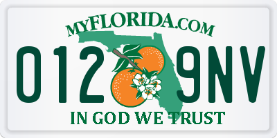 FL license plate 0129NV
