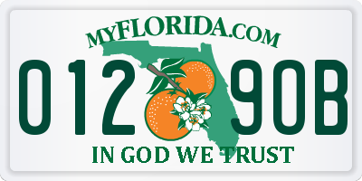FL license plate 0129OB