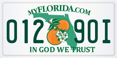 FL license plate 0129OI