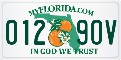 FL license plate 0129OV