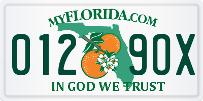 FL license plate 0129OX