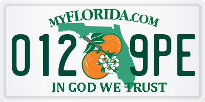 FL license plate 0129PE