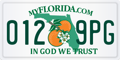 FL license plate 0129PG