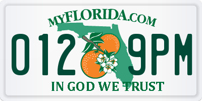 FL license plate 0129PM
