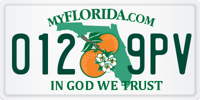 FL license plate 0129PV