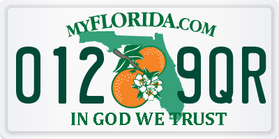 FL license plate 0129QR