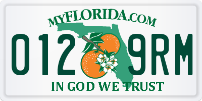 FL license plate 0129RM