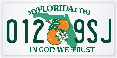FL license plate 0129SJ
