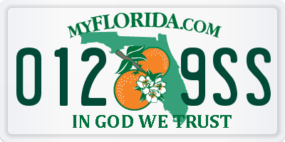 FL license plate 0129SS