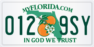 FL license plate 0129SY