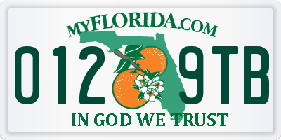 FL license plate 0129TB