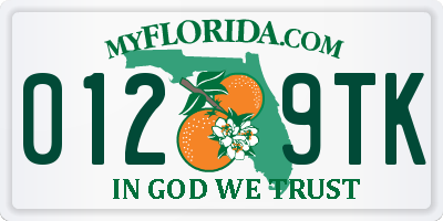 FL license plate 0129TK