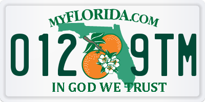 FL license plate 0129TM