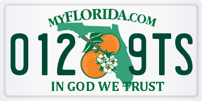 FL license plate 0129TS