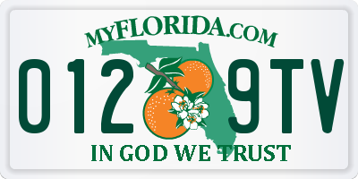 FL license plate 0129TV