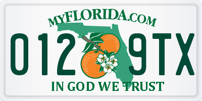 FL license plate 0129TX