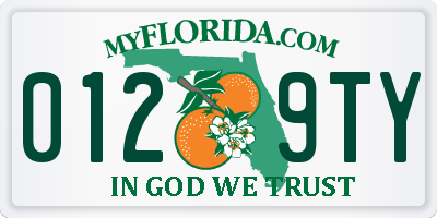 FL license plate 0129TY