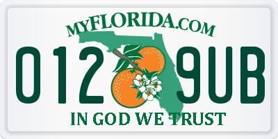 FL license plate 0129UB