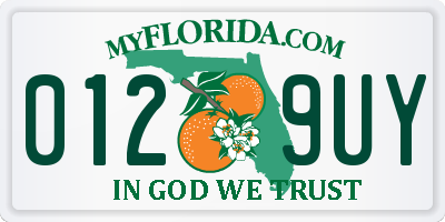 FL license plate 0129UY