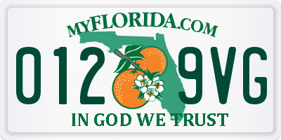 FL license plate 0129VG
